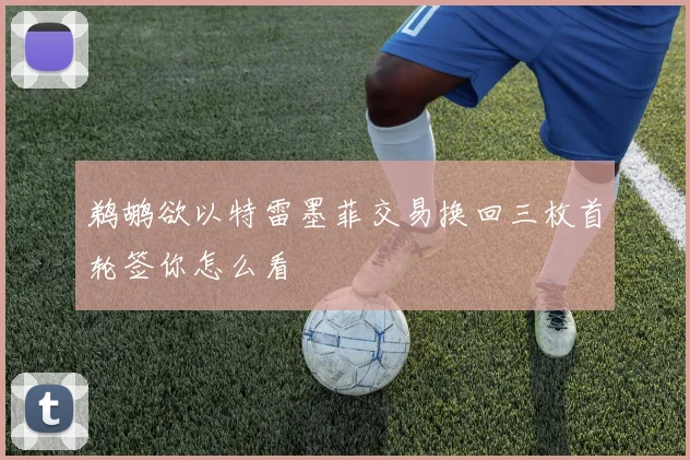 鹈鹕欲以特雷墨菲交易换回三枚首轮签你怎么看